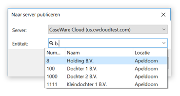 Een bestand naar Cloud publiceren – Caseware Nederland