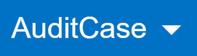 AuditCase.png